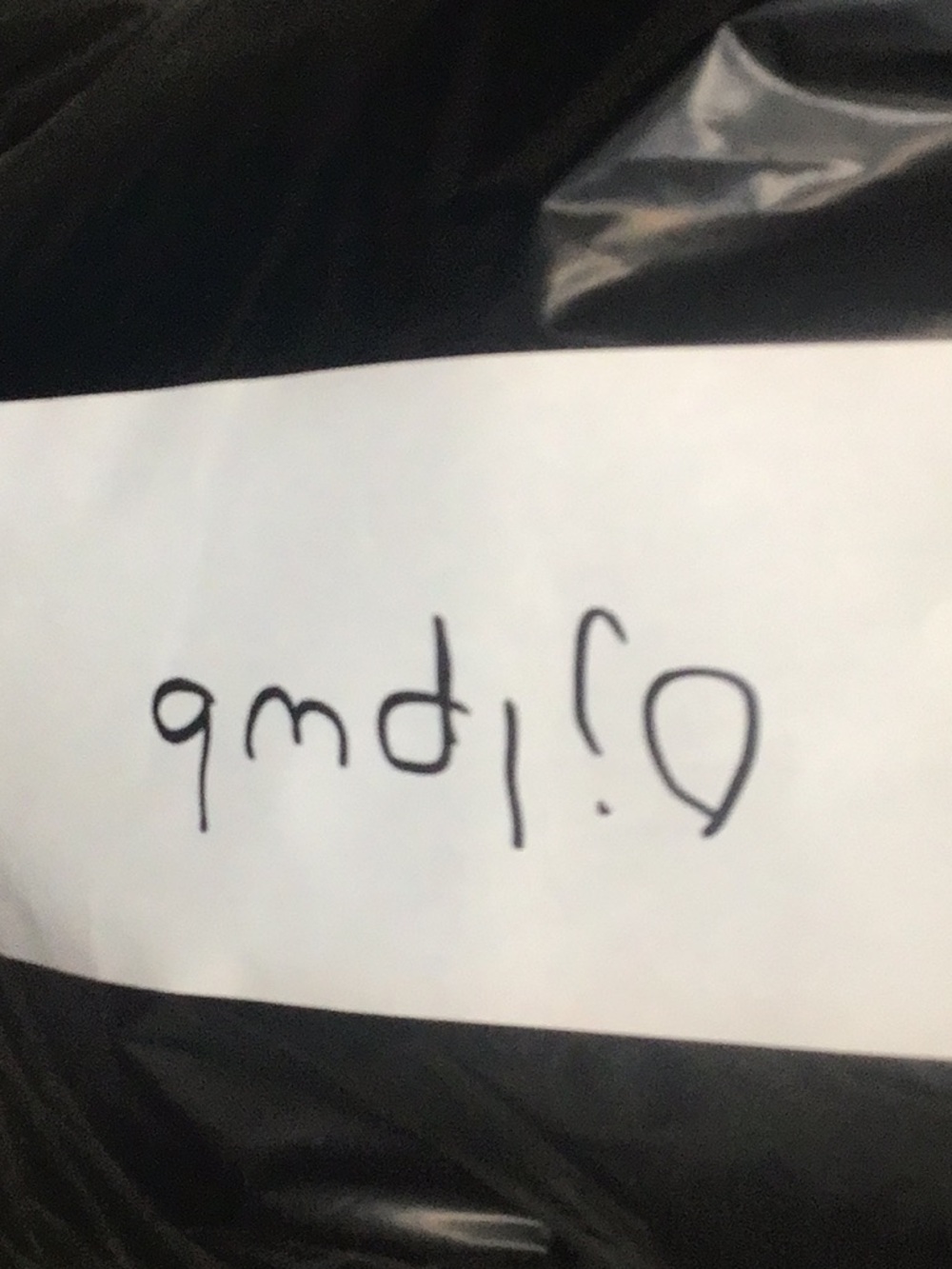 Bag